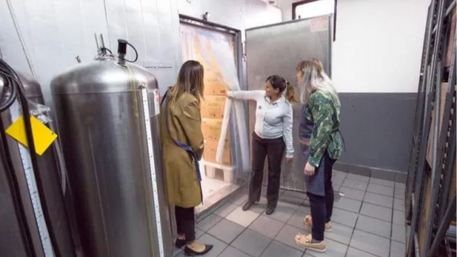 Apuesta empresarial: McDonald’s camina hacia la transparencia con su programa Puertas Abiertas en Tucumán