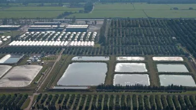 El sector agrícola de Tucumán busca potenciar su desarrollo comercial con nuevas herramientas internacionales 