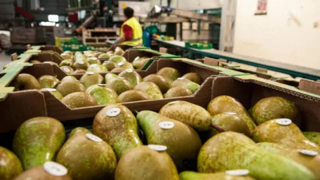 Piden que se declare la emergencia agropecuaria nacional 