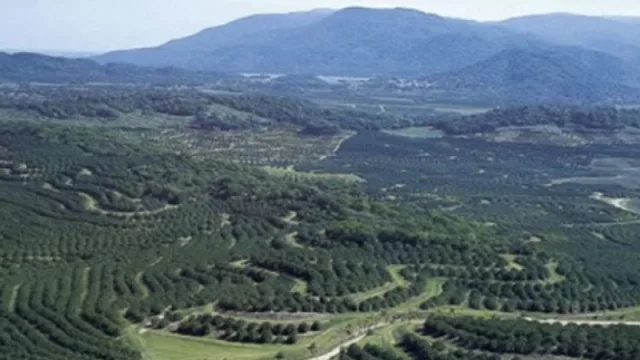 Tafí Viejo no detiene su marcha: comienza a gestar un importante proyecto buscando consolidarse en el NOA