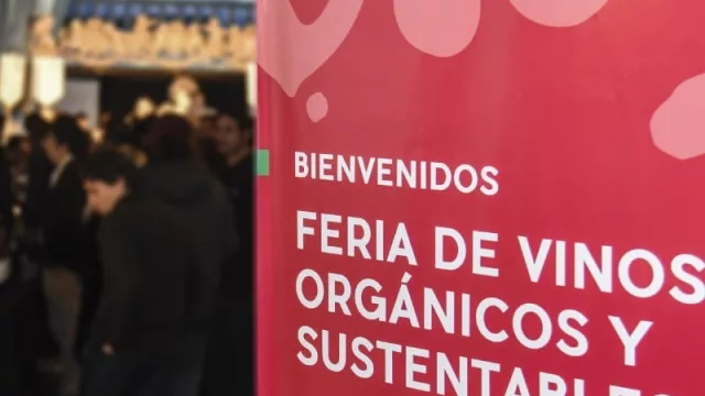 Orgánicos y biodinámicos: los vinos que están cambiando el mercado (el 95% de la producción se exporta)