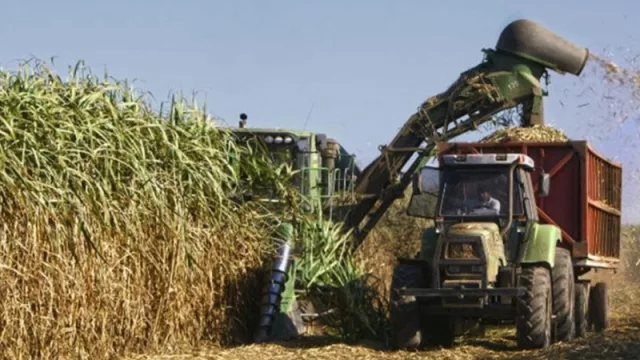 Crisis de la industria azucarera: ante la falta de arreglo salarial, los trabajadores realizan un paro por 48 horas