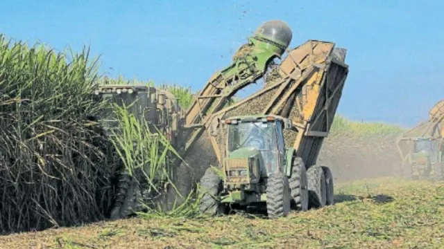 Crisis de la industria azucarera: tres ingenios sin zafra y los trabajadores cesarían su empleo por 48 horas