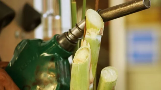 Tucumán y un proyecto que podría reducir el precio del bioetanol y del alcohol para potenciar la industria