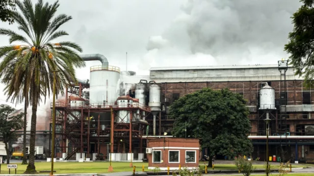 Otra vez y van… una reconocida firma de la industria azucarera con más de 400 cheques rechazados