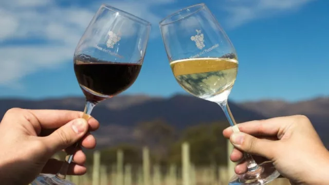 Tucumán continúa con su fuerte apuesta al enoturismo y mañana recibe a expertos mundiales