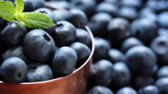 Hay arándanos tucumanos en China... ¡para rato!