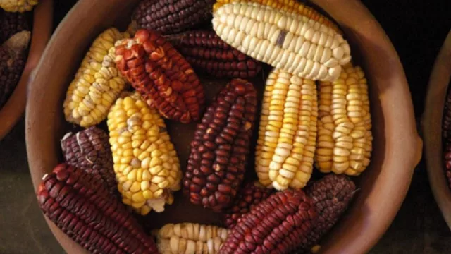 Jujuy invita al 1° Congreso Internacional de Cocina Tradicional