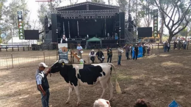 La industria láctea muestra sus avances y problemáticas en el destacado evento del sector tambero de Tucumán