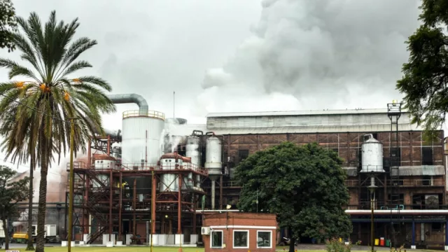 Crisis azucarera: “la industria atraviesa un ‘terremoto’ financiero y económico” asegura la familia Rocchia Ferro