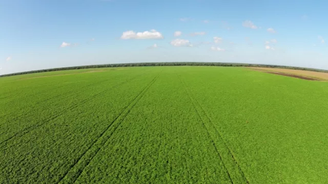 El ministro Sica celebró: el BID financia con US$30 M a la empresa salteña Desdelsur