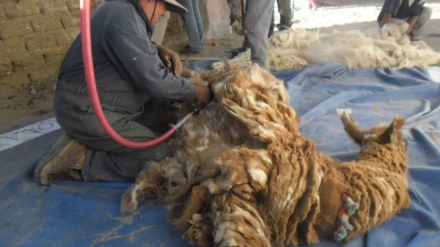 “Un pueblo, un producto”: el proyecto con antecedente japonés que se aplicará en Jujuy