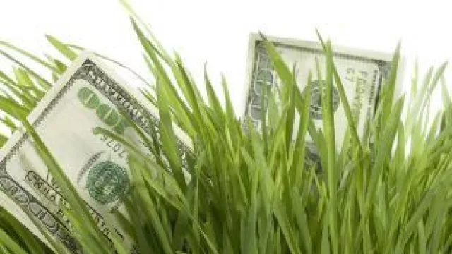 Por el campo y el Tesoro, esperan que crezca la oferta de dólares a u$s 200 millones diarios desde abril