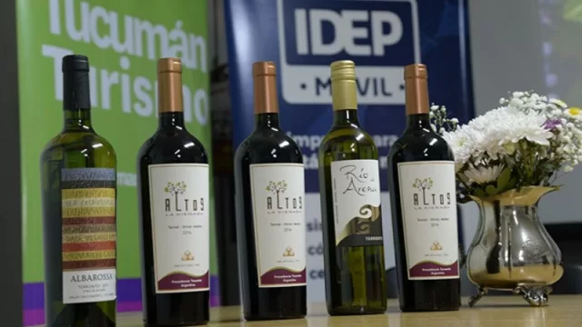 Buscan perfeccionar bodegas tucumanas con participación en una importante feria de vinos en Paraguay