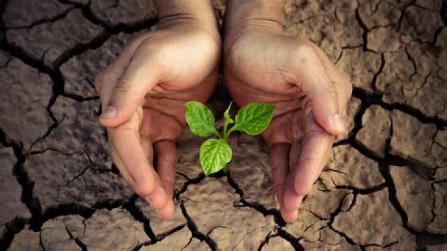 Se desacelera la caída interanual en la construcción y aparece un brote verde: crece febrero vs. enero