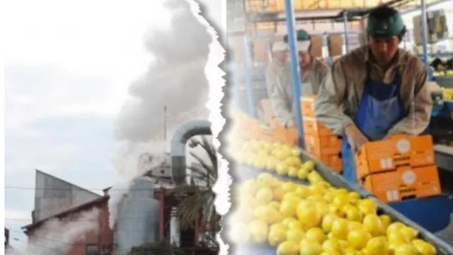 El yin y el yang: las principales industrias tucumanas viven dos presentes diferentes