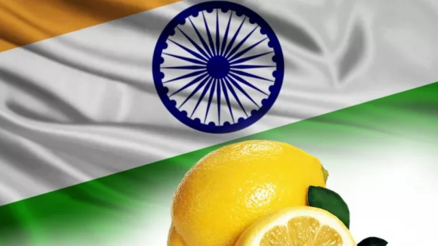 Los números que mueve el nuevo mercado asiático al que ingresará el limón tucumano