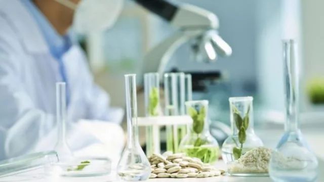 ¿Sos tucumano y tenés un emprendimiento en biotecnología? Esta es tu oportunidad de ganar financiación para desarrollarlo