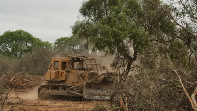 Por las inundaciones (y denuncias), Chaco suspende el desmonte en la provincia