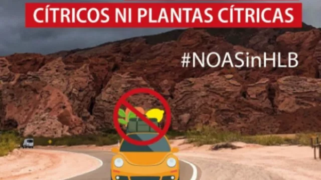 Una campaña de concientización busca proteger la producción de cítricos del NOA