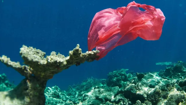 Corona se suma a la causa: "por una playa libre de plástico" (¿y si lo hiciéramos en el El Cadillal?)