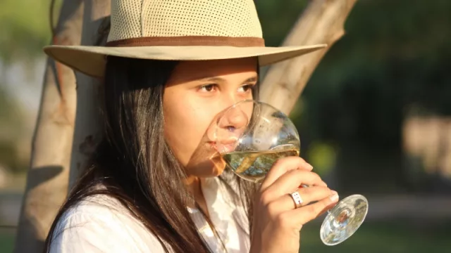 Los vinos del Noroeste Argentino en un solo lugar: Evinor (desde hoy en Chilecito)