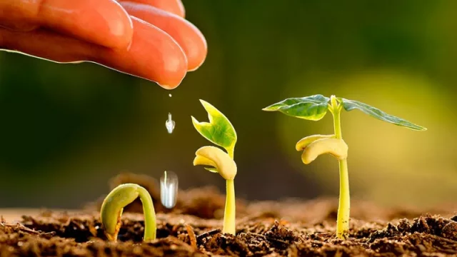 Citrícola San Miguel convoca a emprendedores tucumanos con innovadoras propuestas agroindustriales