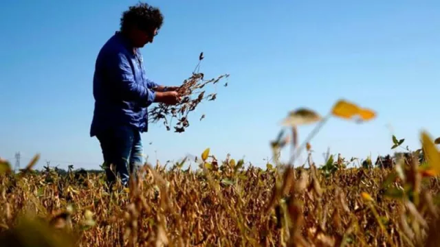Coteagro Limitada, la sociedad entre ingenieros agrónomos de Tucumán que capacitará a productores agropecuarios