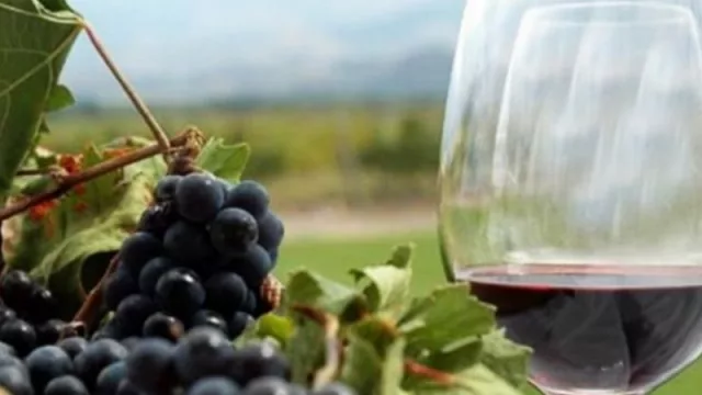 Premian a un emprendedor tucumano por su trabajo en vinos caseros