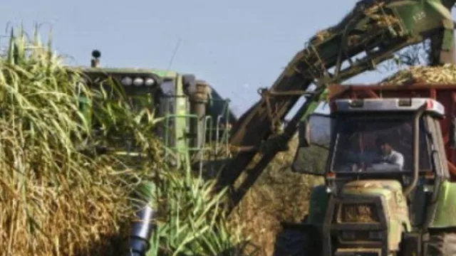 Beneficiarán a pequeños productores cañeros de la provincia con una financiación millonaria