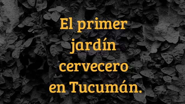 ¿Te gusta la cerveza al aire libre? Un nuevo patio cervecero irrumpe en Tucumán con una propuesta innovadora