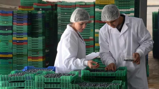 El 9º Corrientes Emprende seleccionó los 20 proyectos destacados por innovadores