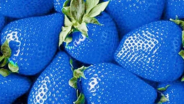 Frutillas de colores: ayuda financiera para emprendimiento en Bárcena