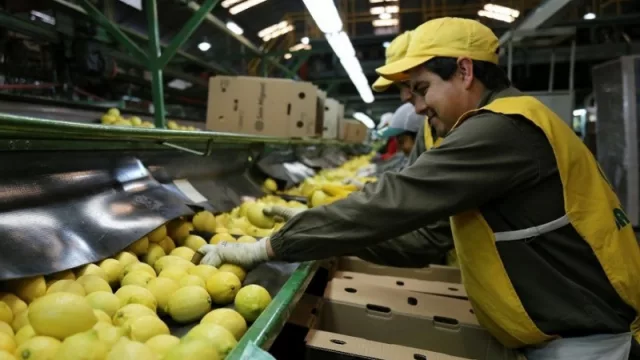 La herramienta del IDEP para mejorar la visibilidad y las ventas de las empresas exportadoras de Tucumán