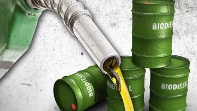 Casi una decena de plantas de biodiesel paralizaron exportaciones