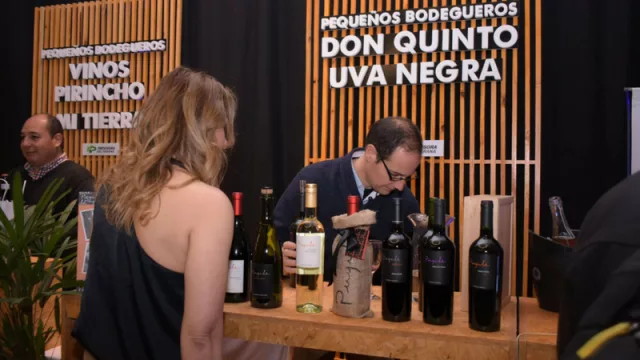 8° Expo Vino y Encantos Regionales: con 45 bodegas de todo el país y 500 etiquetas de vino