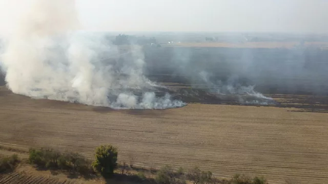 ¿A cuánto asciende la multa por quema de cañaverales en Tucumán?