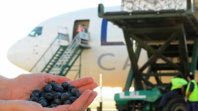 La gran apuesta del sector exportador de Tucumán: ¿cómo mejorar los costos logísticos para ser más competitivos?