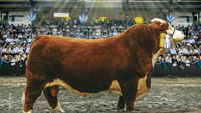 “Bienvenidos al campo” (pero en el corazón de CABA) 