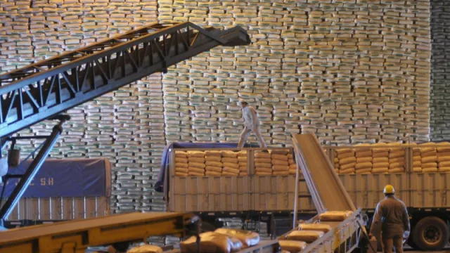 Las heladas no afectaron la cosecha y se espera un número millonario de toneladas de azúcar en Tucumán