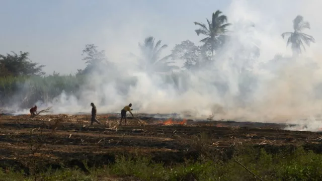 Comenzaron los problemas de visibilidad en distintas rutas por las quemas de caña