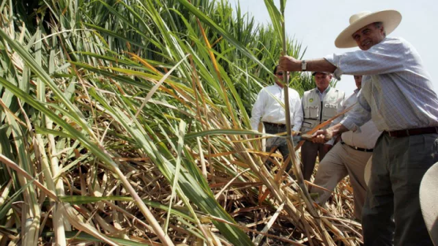 Azucareros de Tucumán pactaron la suba salarial y cobrarán más de $20 mil como básico