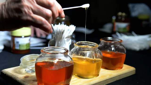 Nuevo negocio de exportación para apicultores de Tucumán