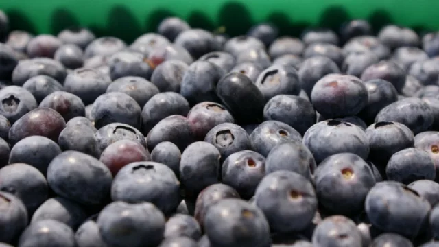 Una nueva empresa tucumana recibió el sello de calidad Alimentos Argentinos para la exportación