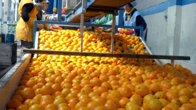 El gobierno tailandés autorizó el ingreso de cítricos entrerrianos