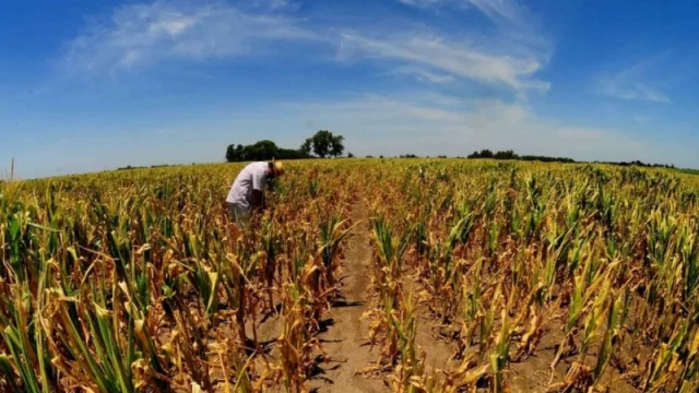 Plataforma para ayudar a productores agropecuarios a mejorar la producción