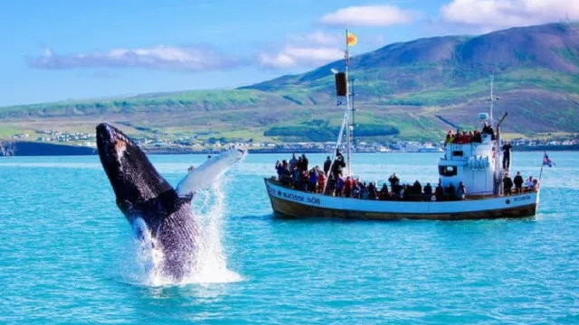 Con el corazón mirando al sur