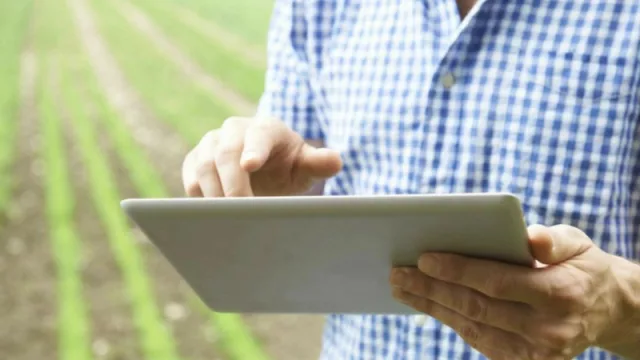 Una app permitirá controlar productos, llevar un control de gastos y comercializar en el mercado de granos