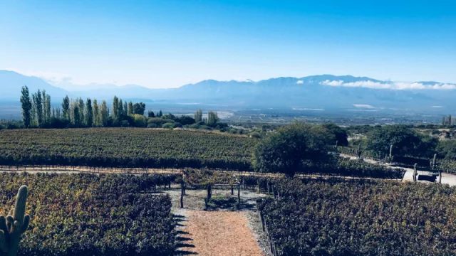 El #InTour comenzó por Salta (la redacción de InfoNegocios por el país)