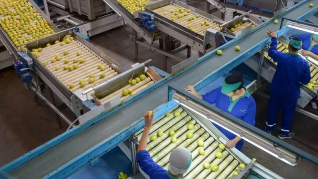 Primer contrapié en la exportación de limones tucumanos a Estados Unidos